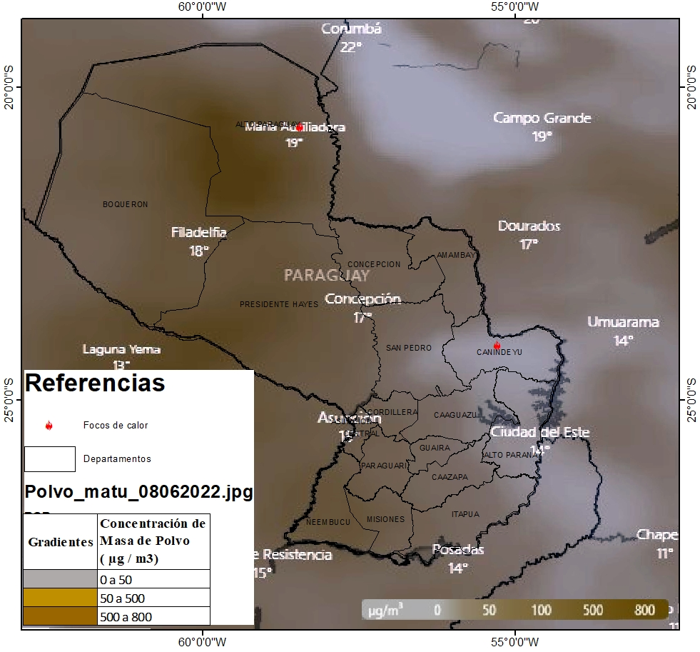 Polvo_matu_0806