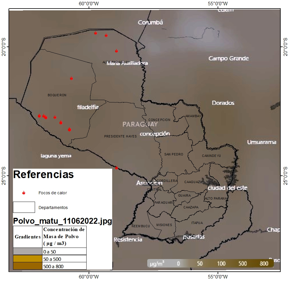 Polvo_matu_1106